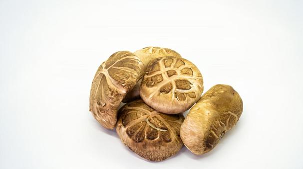 生しいたけの盛り合わせ 生しいたけの盛り合わせ しいたけ,椎茸,きのこの写真素材