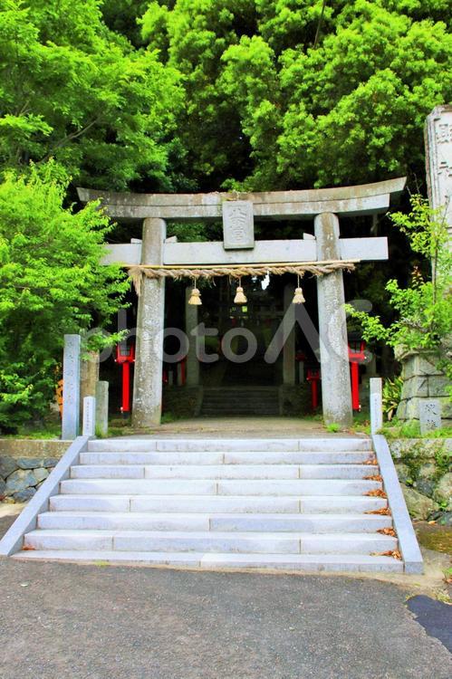 福岡県宗像市の八所宮参道 八所宮,宗像市,福岡県の写真素材