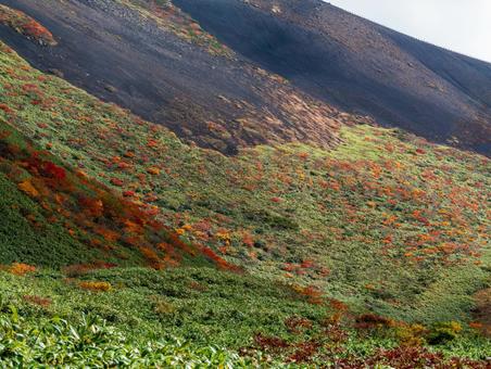 紅葉の秋田駒ケ岳 紅葉の秋田駒ケ岳の写真