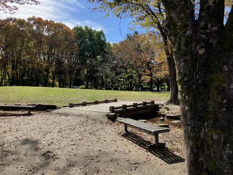 晴れた日の公園 ベンチ 晴れた日の公園 ベンチの写真