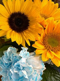 夏のアレンジメント ひまわり,花,アレンジメントの写真素材