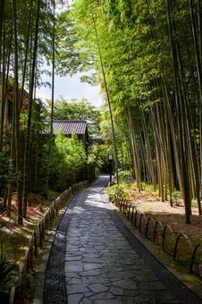 修善寺の風景⑺ 修善寺の風景⑺ 竹林,小道,石畳の写真素材