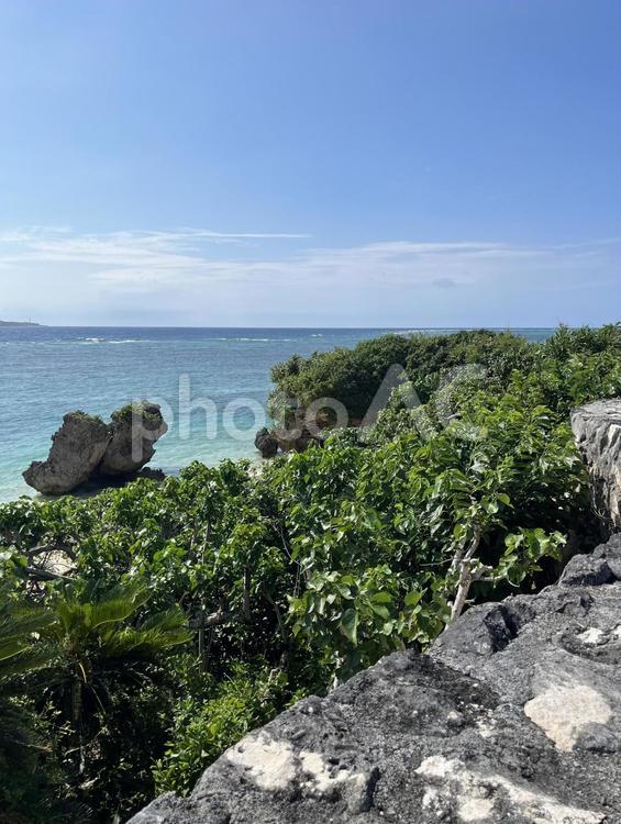岩場とエメラルドグリーンの海 南国,海,青空の写真素材