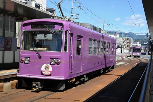 紫の車輛 紫の車輛 路面電車,電車,レールの写真素材