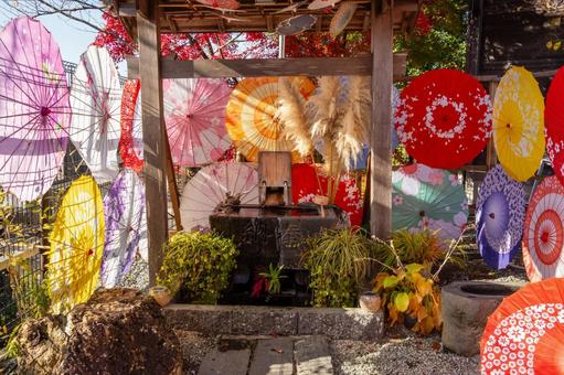仙台八坂神社(27) 神社,仙台八坂神社,晩秋の写真素材