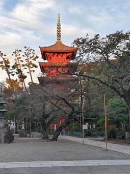 千葉県-法華経寺-五重塔 法華経寺,寺,正中山の写真素材