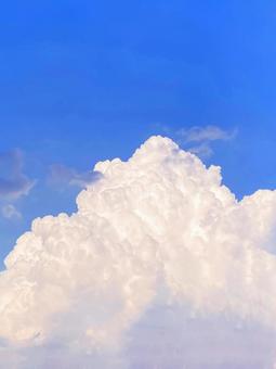 夏空 夏空の写真