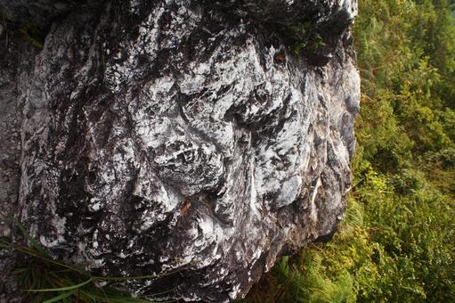 岩 岩の写真