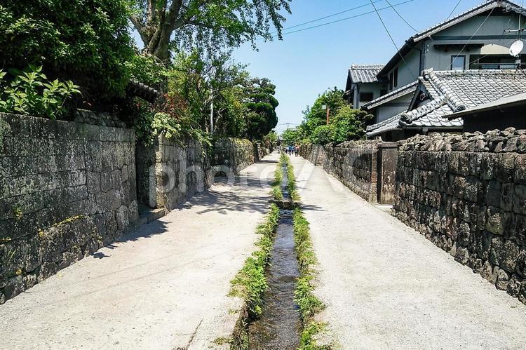 島原武家屋敷通りの水路 武家屋敷,武家屋敷通り,流れの写真素材