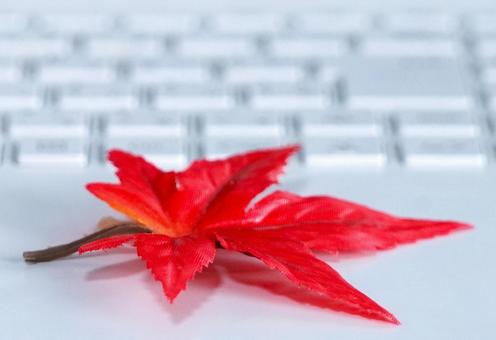 パソコンと紅葉⑤(アップ) パソコンと紅葉⑤(アップ) パソコン,ビジネス,紅葉の写真素材