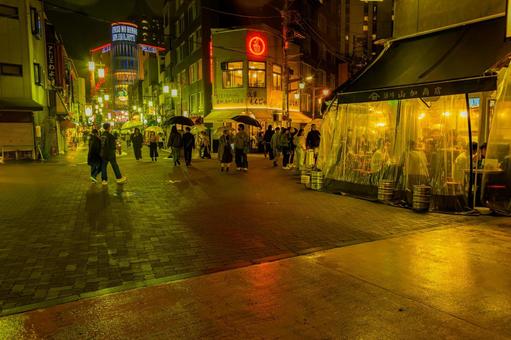 雨夜の浅草 雨夜の浅草 サイバーパンク,浅草,幻想的の写真素材