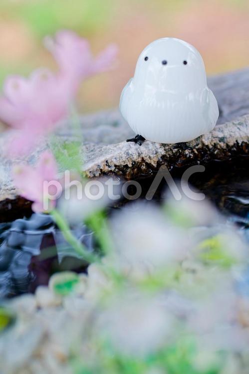 花手水とシマエナガの置物 花手水,シマエナガ,置物の写真素材
