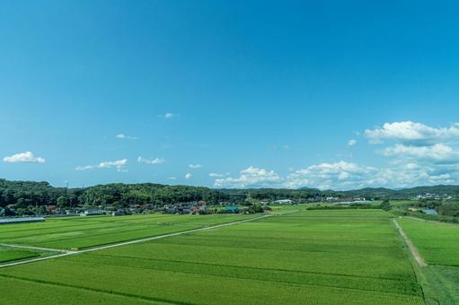 日本の原風景 日本の原風景 山口県,田舎,田んぼの写真素材