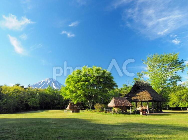 新緑と青空と富士山 新緑,富士山,空の写真素材