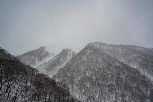 谷川岳ロープウェイから見た景色 谷川岳,ロープウェイ,銀世界の写真素材