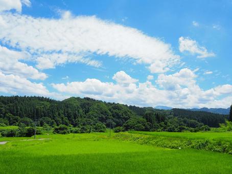 夏の景色17 夏の景色17の写真