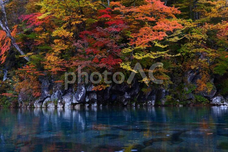法体の滝の紅葉 法体の滝,滝,秋の写真素材