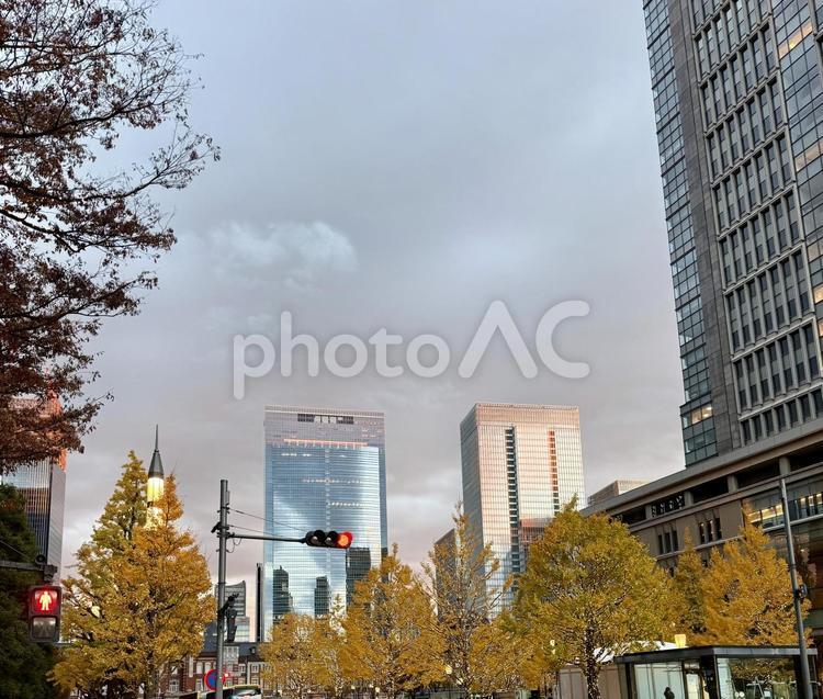 ビル街と夕焼け ビル,ビル街,東京駅の写真素材