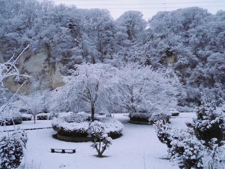雪の中の桜の木のある風景 雪の中の桜の木のある風景 雪,冬,冬景色の写真素材