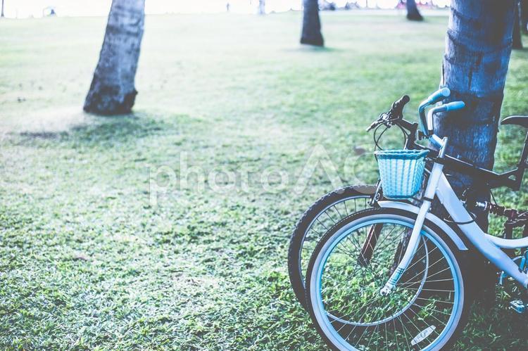 自転車と公園 コピースペース,サイクリング,スナップの写真素材