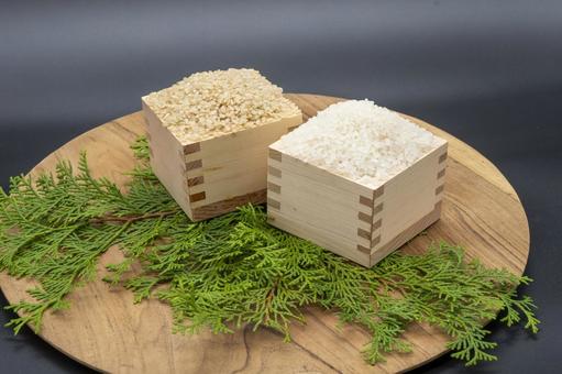 rice, JPG rice, JPG