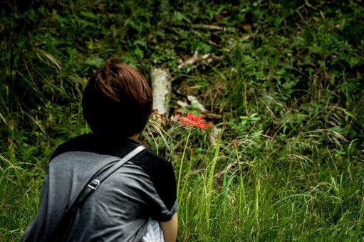 <素材>秋の彼岸花を眺める女性 <素材>秋の彼岸花を眺める女性 女性,ヒガンバナ,曼珠沙華の写真素材