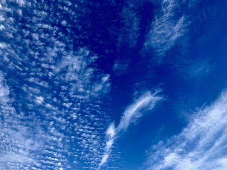 よく晴れた日の青空 よく晴れた日の青空の写真