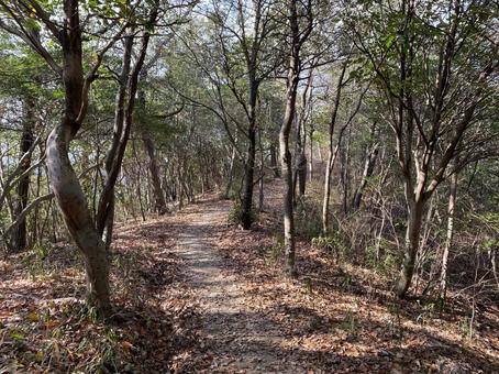 ハイキング ハイキング 山,登山,低山の写真素材