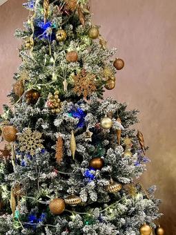 華やかなクリスマスツリーのオーナメント クリスマスツリー,クリスマス,ツリーの写真素材