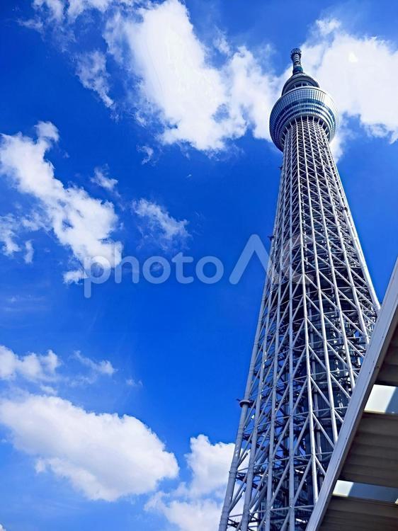【風景写真】スカイツリーが見える風景 自然,景色,景観の写真素材