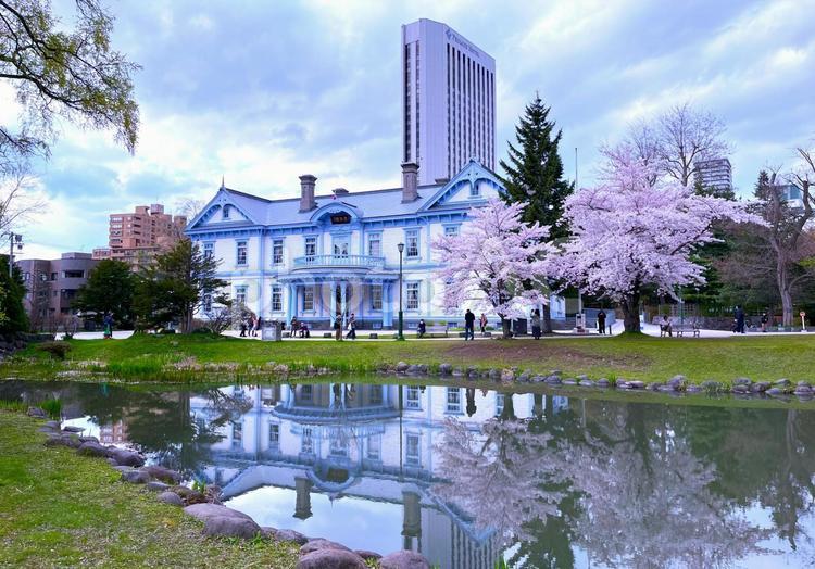 札幌市　中島公園　満開の桜  豊平館 北海道,春,札幌市の写真素材