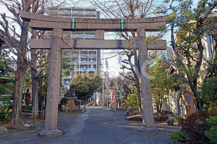河原町稲荷神社（足立） 河原町稲荷神社,倉稲魂命,稲荷神の写真素材