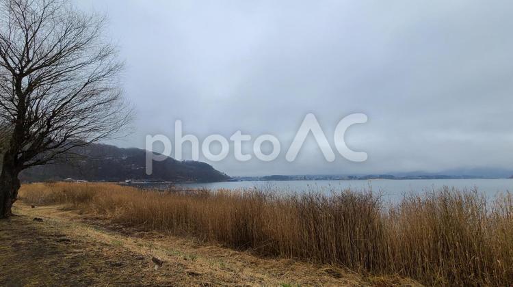 雨の日　河口湖 湖,山,河口湖の写真素材