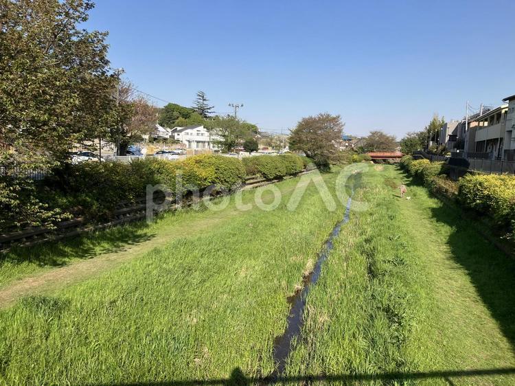 住宅街の近くを流れる小さな用水路と緑道 住宅街,緑道,散歩道の写真素材