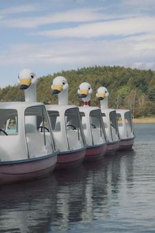 アヒル 湖,女神湖,自然の写真素材