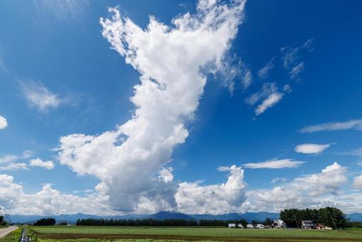青空と雲 青空と雲 青空,雲,白い雲の写真素材