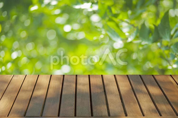背景　森のテーブル 背景,テーブル,木目の写真素材