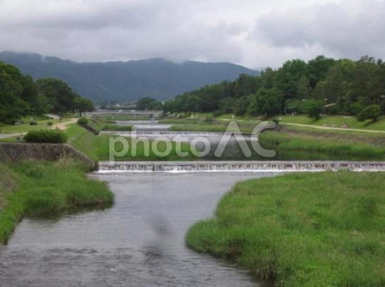 京都・鴨川沿いの風景に癒されて 京都,鴨川,風景の写真素材