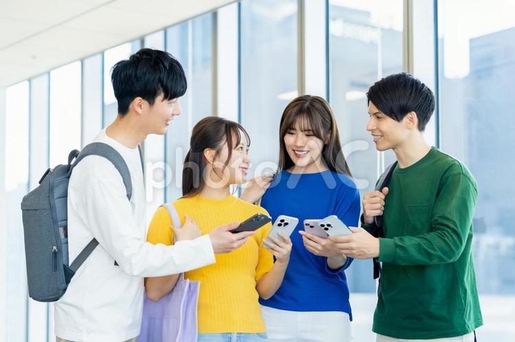 スマホを見る大学生 スマホ,大学生,学生の写真素材