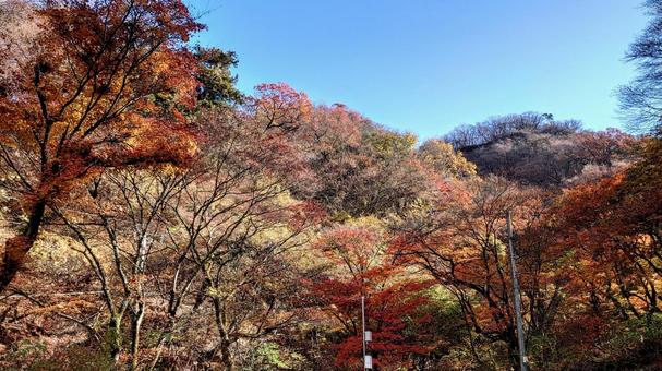 伊香保 紅葉 伊香保 紅葉 伊香保,伊香保温泉,紅葉の写真素材