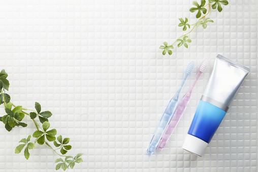 モザイクタイル　白　植物　歯磨きイメージ モザイクタイル,ハブラシ,テクスチャの写真素材