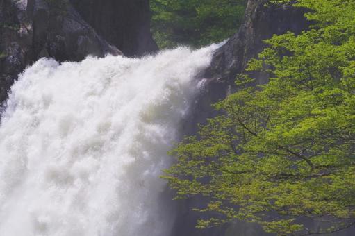 Photo, naena falls, niigata, waterfall, 