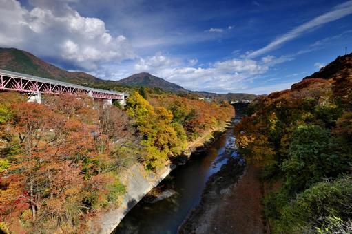 宮下橋から見る紅葉の桂川① 紅葉,黄葉,桂川の写真素材