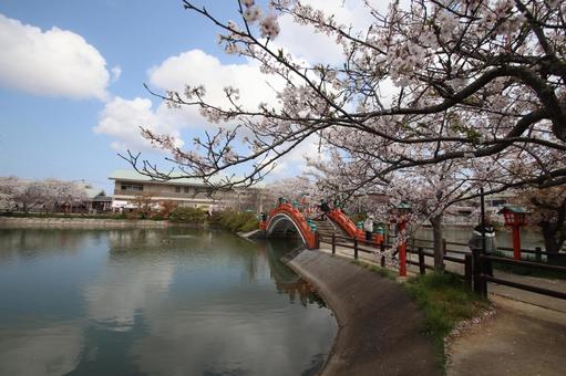 垣生公園の写真