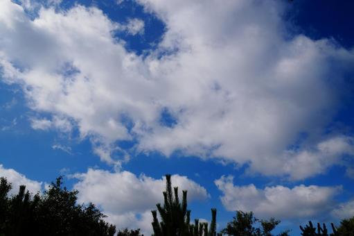 空の風景の写真