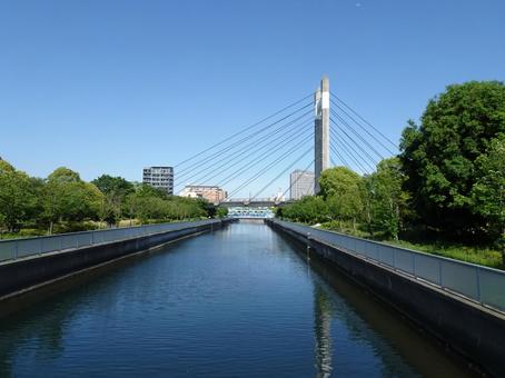 仙台堀川（末広橋から東側に向けて撮影） 仙台堀川,木場公園大橋,東京都江東区木場の写真素材