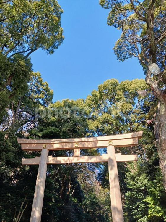 大鳥居と青空｜日本の伝統と自然の調和 鳥居,神社,日本の写真素材