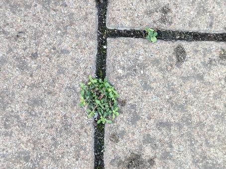 Photo, block, block gap, small world, 