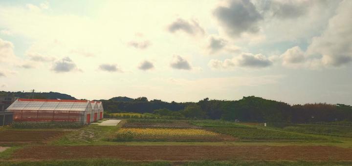 農園 農園 空,ゴールデンアワー,グラデーションの写真素材