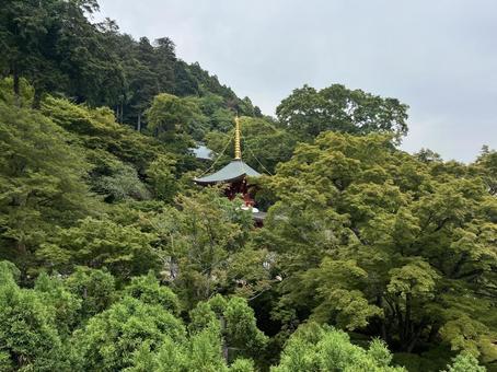 勝尾寺 勝尾寺の写真